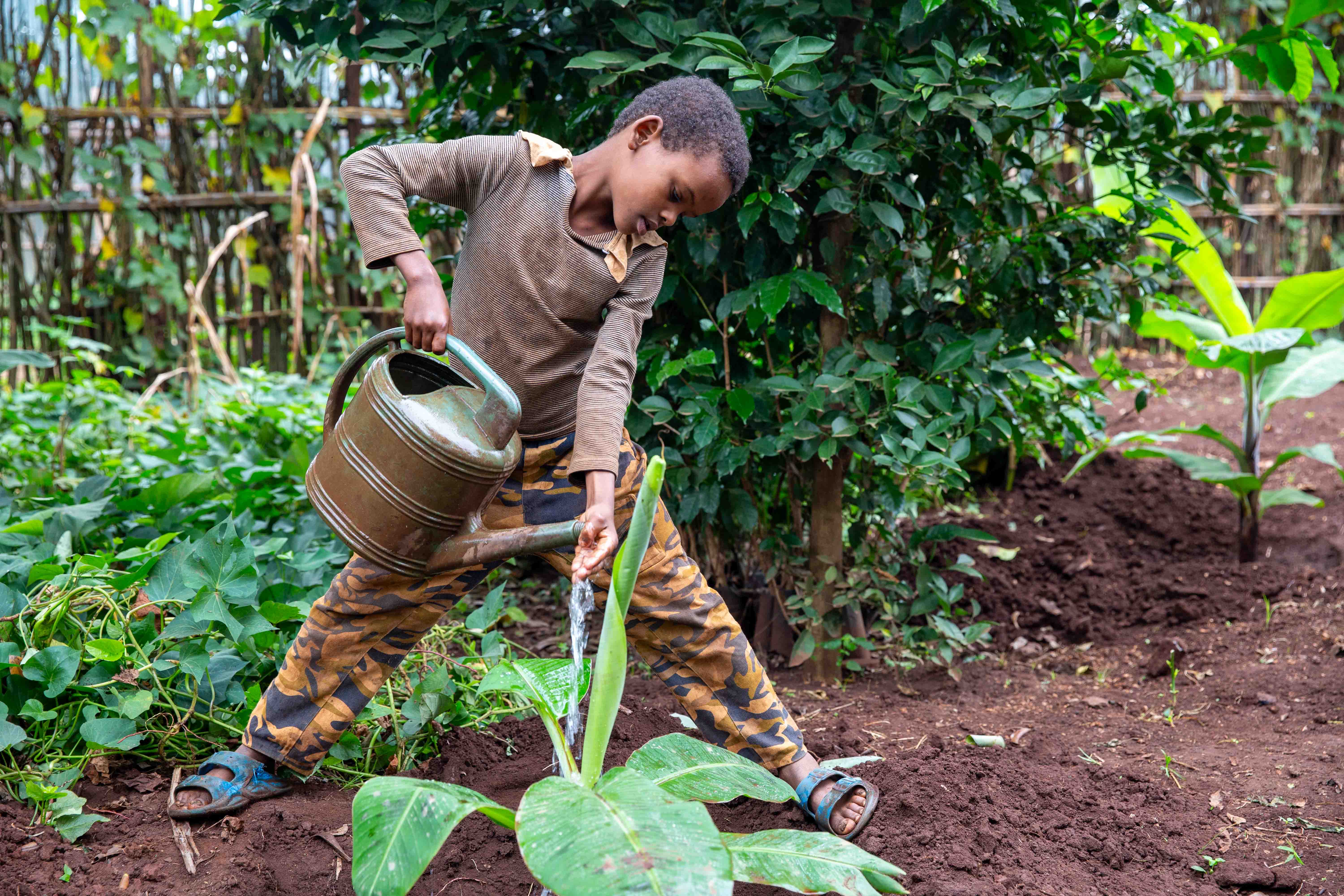 Mawiya, 13, Ahmed's first born, taking care of the plants in the backyard, Gebe Keko Kebele, Berbere District, Oromia Regional State, Ethiopia, August 2025.